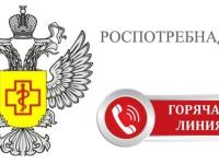 Горячая линия